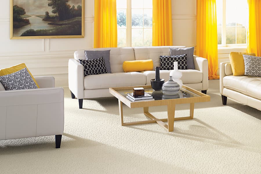 Environmentally friendly Carpet Cleaning Rancho Santa Fe