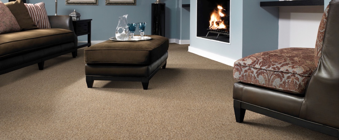 Spot Removal Carpet Cleaning