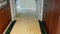 White Carpet Cleaning